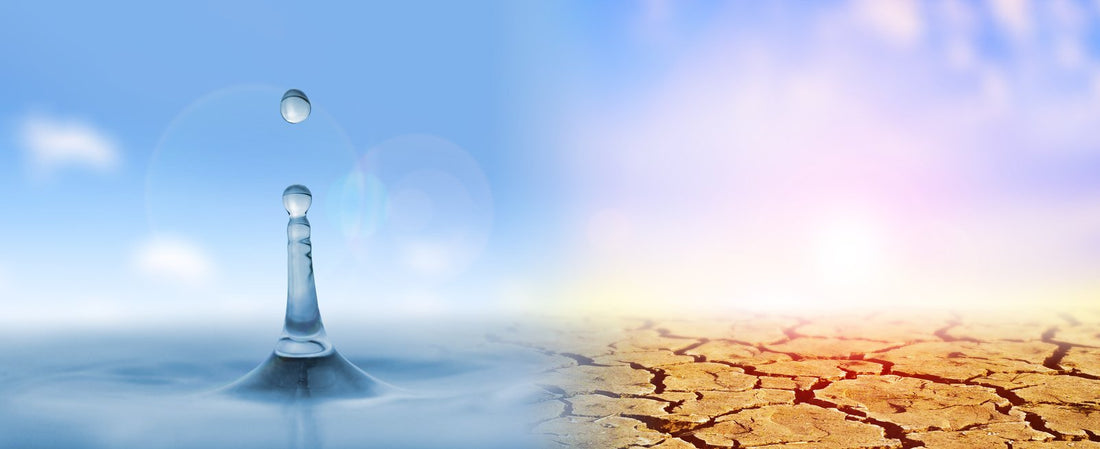 A split image of a water droplet next to a close up of dry, cracked skin.